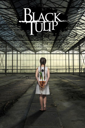 Fekete tulipán poszter