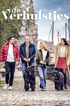 De Verhulstjes poszter