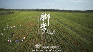 舌尖上的中国 2. évad Ep.2 2. epizód