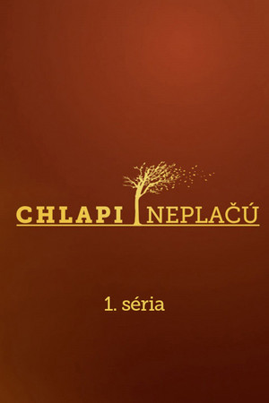 Chlapi neplačú 1. évad (2013-08-01) poszter