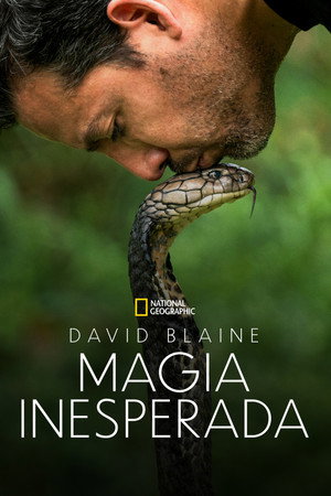 Ezt ne próbáld ki! - Halálos mutatványok David Blaine-nel poszter