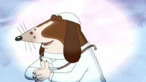 Dr Dog kép