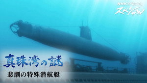 NHKスペシャル 2009. évad Ep.1206 1206. epizód