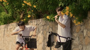 ต้นส้มบ้านเขา แต่ผลส้มหล่นมาบ้านเราตลอดเลย kép