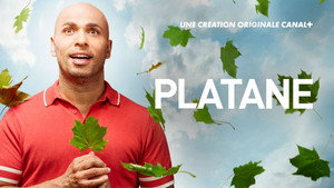 Platane kép