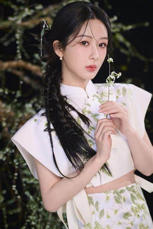 杨紫 profil kép