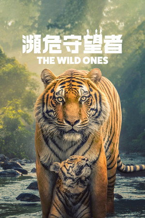 The Wild Ones poszter