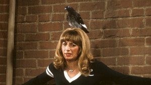 Laverne & Shirley 6. évad Ep.10 10. epizód