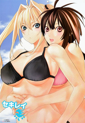 Sekirei Speciális epizódok (2009-03-25) poszter