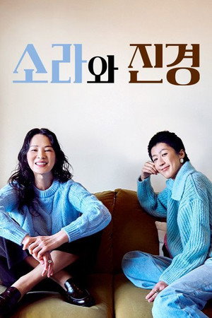 소라와 진경 poszter