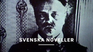 Svenska noveller kép