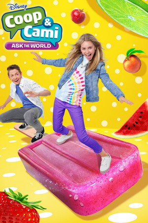 Coop & Cami Ask the World poszter