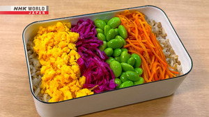 BENTO EXPO 8. évad Ep.8 8. epizód