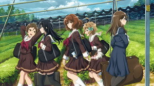 響け！ユーフォニアム kép