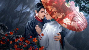 暗渡春华 kép