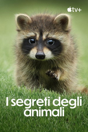 Az állatok titkos élete poszter