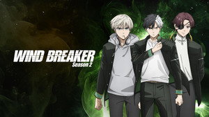 WIND BREAKER kép