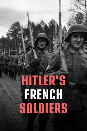 Les soldats français du Reich poszter