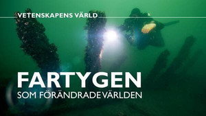 Vetenskapens värld 47. évad Ep.33 33. epizód