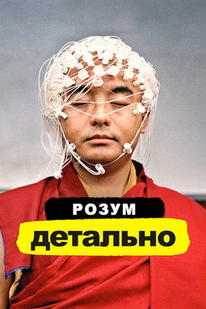Az agy poszter