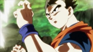 Dragon Ball: Szuper 1. évad Ep.120 Tökéletes túlélési stratégia! A 3-as Univerzum gyilkológépe!