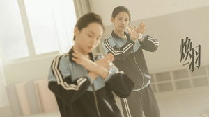 焕羽 kép