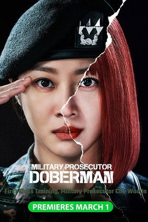 군검사 도베르만 poszter