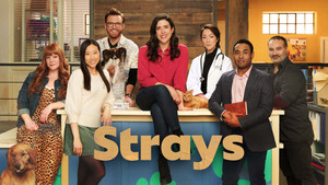 Strays kép