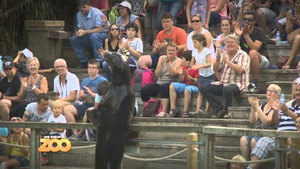 Une saison au zoo 4. évad Ep.1 1. epizód