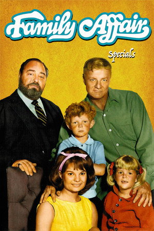 Family Affair Speciális epizódok () poszter