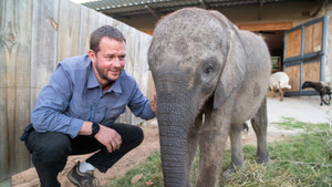 Baby Animal Rescue kép
