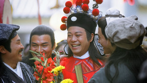 醉打金枝 kép