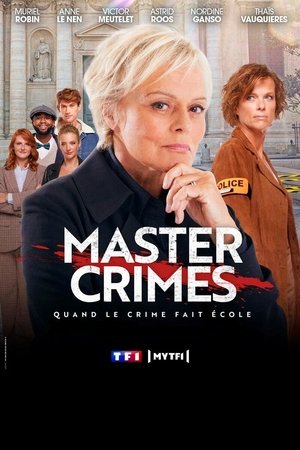 Master Crimes poszter