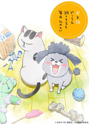 犬と猫どっちも飼ってると毎日たのしい poszter
