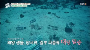 취미는 과학 1. évad Ep.5 5. epizód