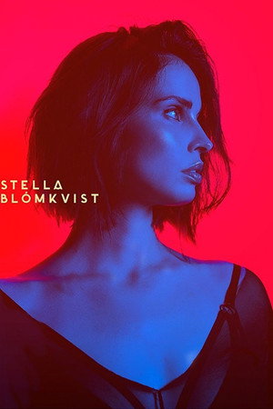 Stella Blómkvist - A bűnösök védője