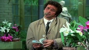 Columbo kép