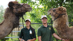 Un safari près de chez nous kép