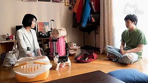 ブランケット・キャッツ 1. évad Ep.5 5. epizód