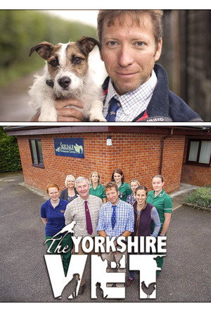 A Yorkshire-i állatorvos poszter
