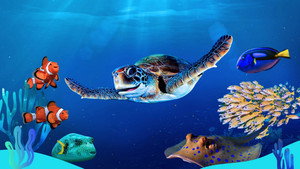 Reef School kép