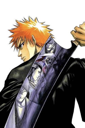 Bleach poszter