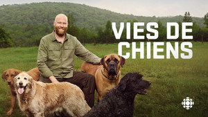 Vies de chiens kép