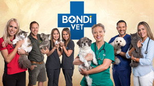 Bondi Vet: Coast to Coast kép