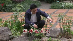 外来媳妇本地郎 12. évad Ep.4458 4458. epizód