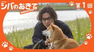 シバのおきて～われら犬バカ編集部～ 1. évad Ep.1 1. epizód