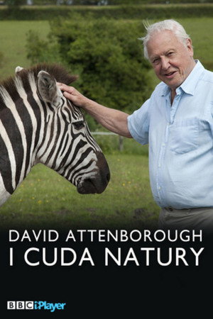 A természet furcsaságai David Attenborough-val poszter