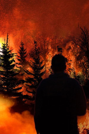Witness to Disaster poszter