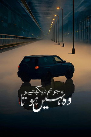 ما تراه ليس كما يبدو poszter