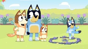 Bluey 1. évad Ep.30 A tündérek